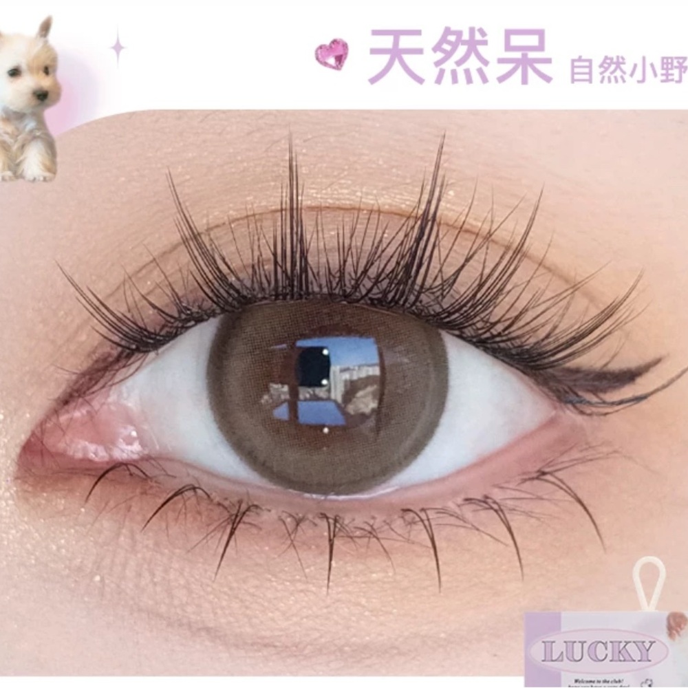 Self-adhesive false eyelashes